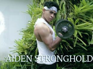 AIDEN_STRONGHOLD