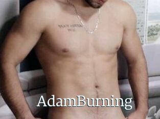 AdamBurning