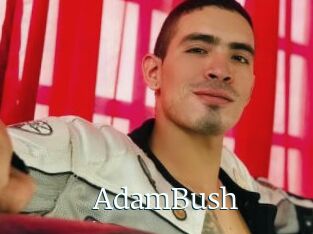 AdamBush