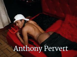 Anthony_Pervert