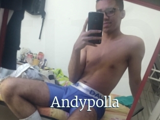 Andypolla