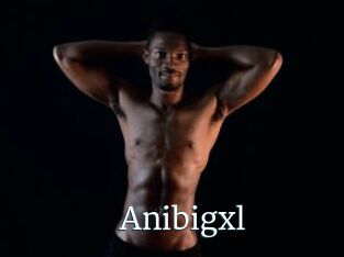 Anibigxl