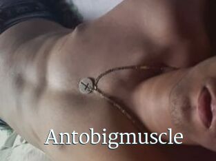 Antobigmuscle