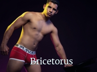 Bricetorus