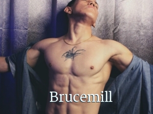 Brucemill