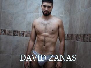 DAVID_ZANAS