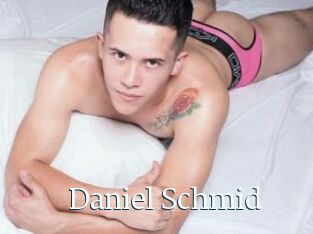 Daniel_Schmid