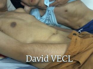 David_VECL