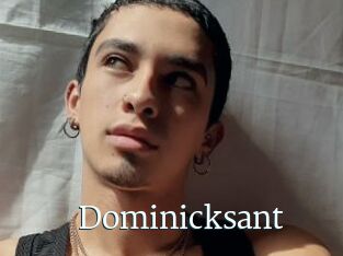 Dominicksant