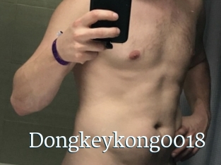 Dongkeykong0018