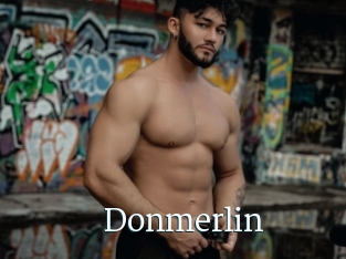 Donmerlin