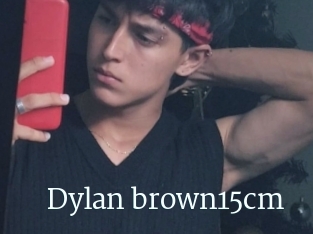 Dylan_brown15cm