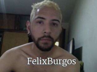 FelixBurgos