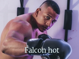 Falcon_hot