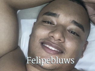 Felipebluws