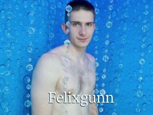 Felixgunn