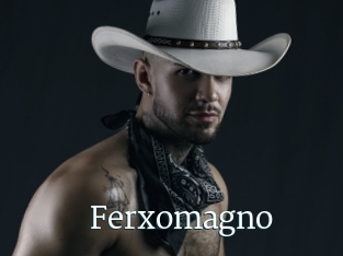 Ferxomagno