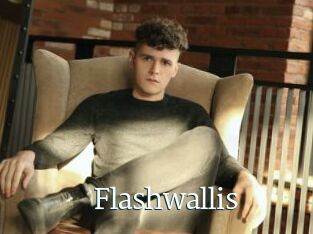 Flashwallis