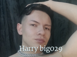 Harry_big029