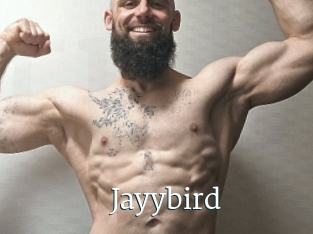 Jayybird