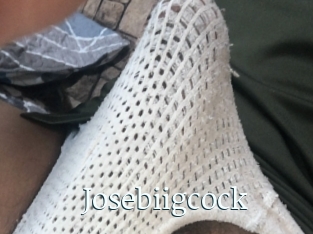 Josebiigcock