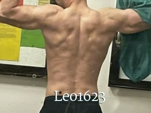 Leo1623