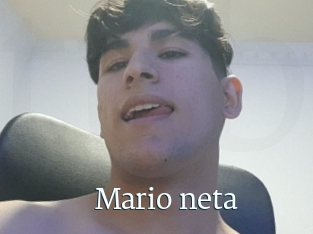 Mario_neta