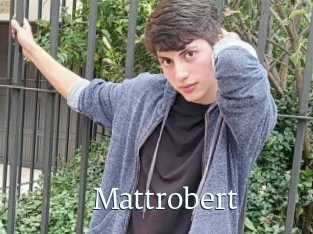 Mattrobert