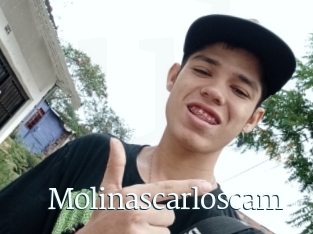 Molinascarloscam