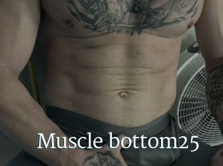 Muscle_bottom25