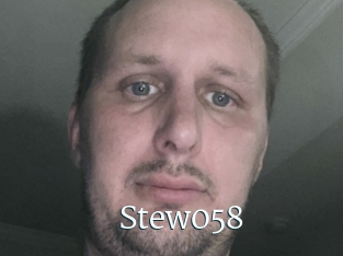 Stew058