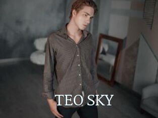 TEO_SKY